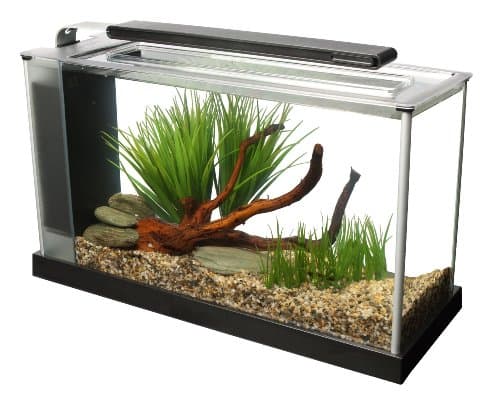 Kit de acuario Fluval Spec V