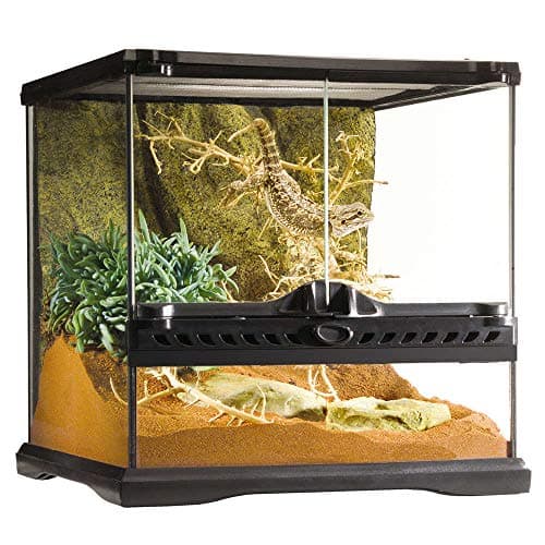 Exo Terra Glass Natural Terrarium Review