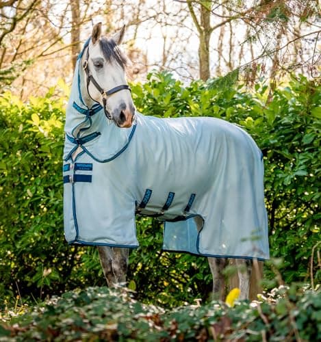 Horseware Amigo® Bug-Buster Sheet - PADD - fly sheets - PADD
