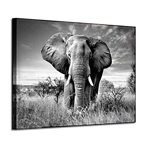 African Elephants | Great Big Canvas