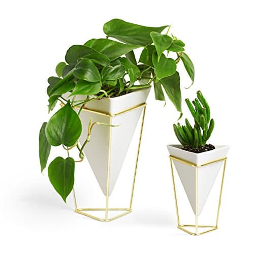 Amazon.com: Umbra Trigg Hanging Planter Vase & Geometric Wall Decor ...