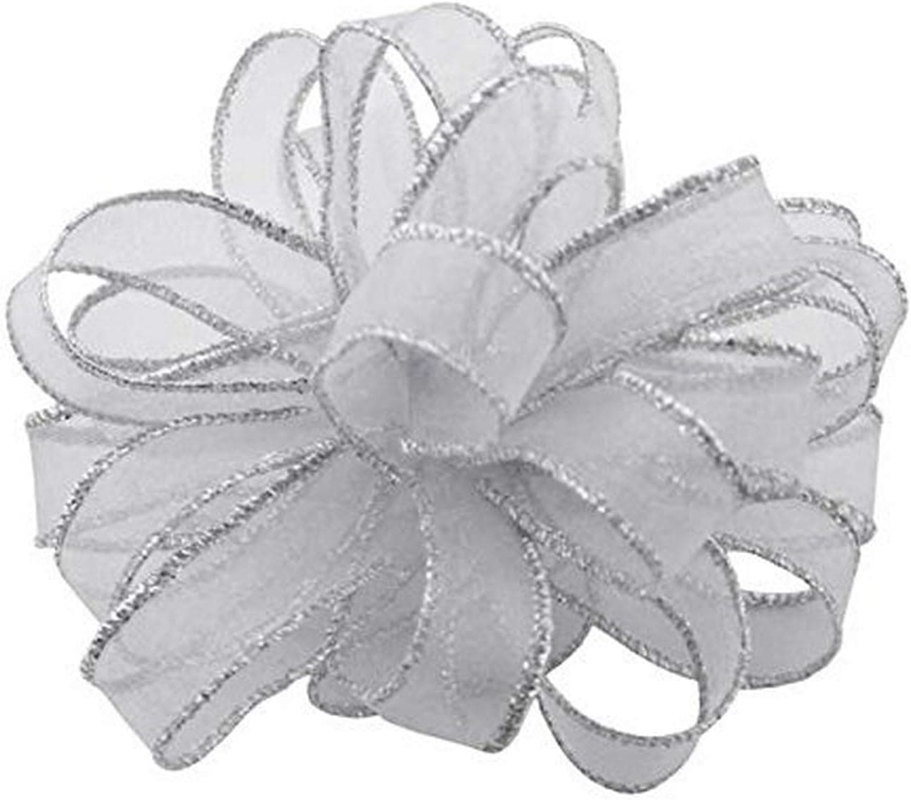 Amazon.com: Berwick Offray DW Sparkle Wired Edge Ribbon-5/8 Wide X 20 ...