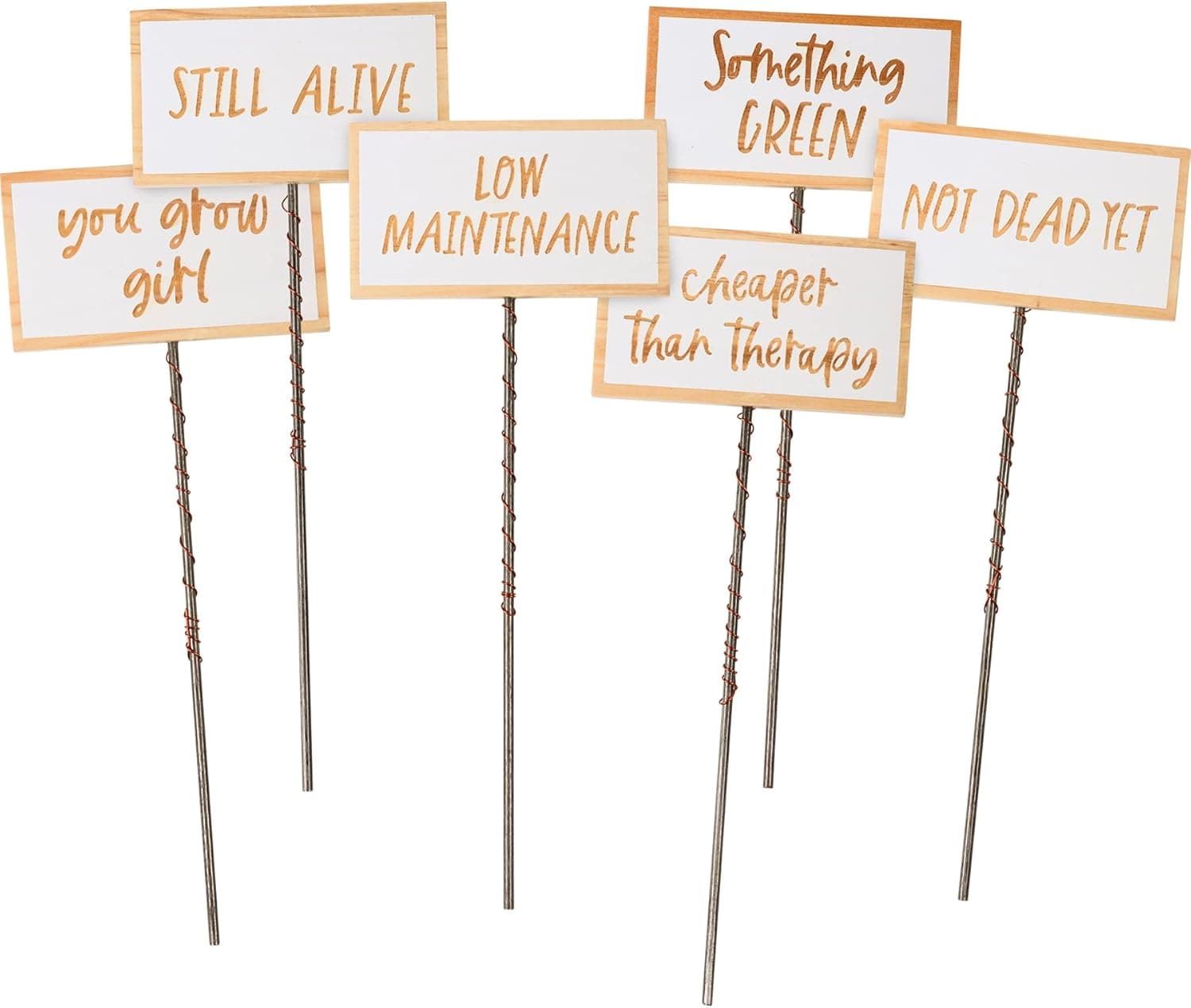 Amazon.com: Primitives by Kathy Garden Sign Set, Multicolor, 6 Count ...