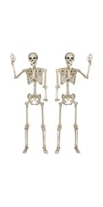 Amazon.com : DECORLIFE 2 Pack Pose-N-Stay Skeleton, 5FT Life Size ...