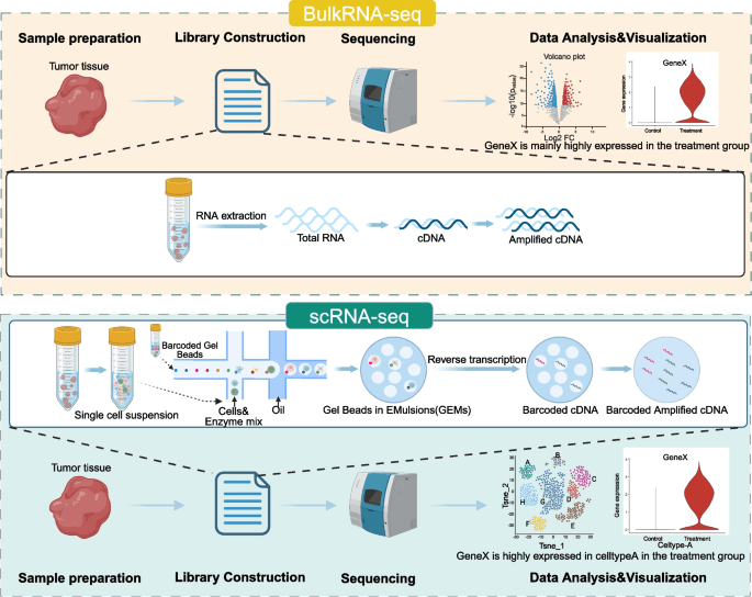 Deciphering breast cancer dynamics: insights from single-cell and ...