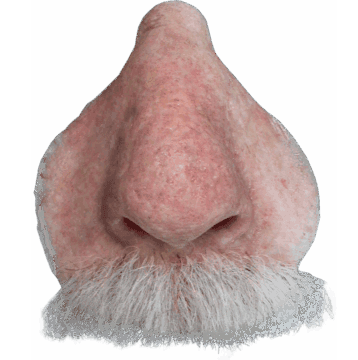 Medical Art Prosthetics Custom Silicone Nose