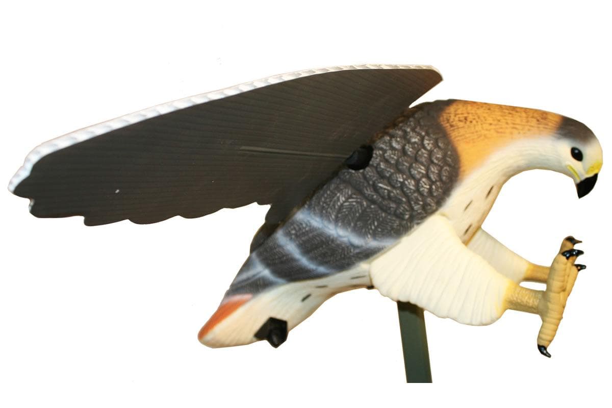 MOJO Realistic Moving Hawk Decoy for Birds - Red Tailed