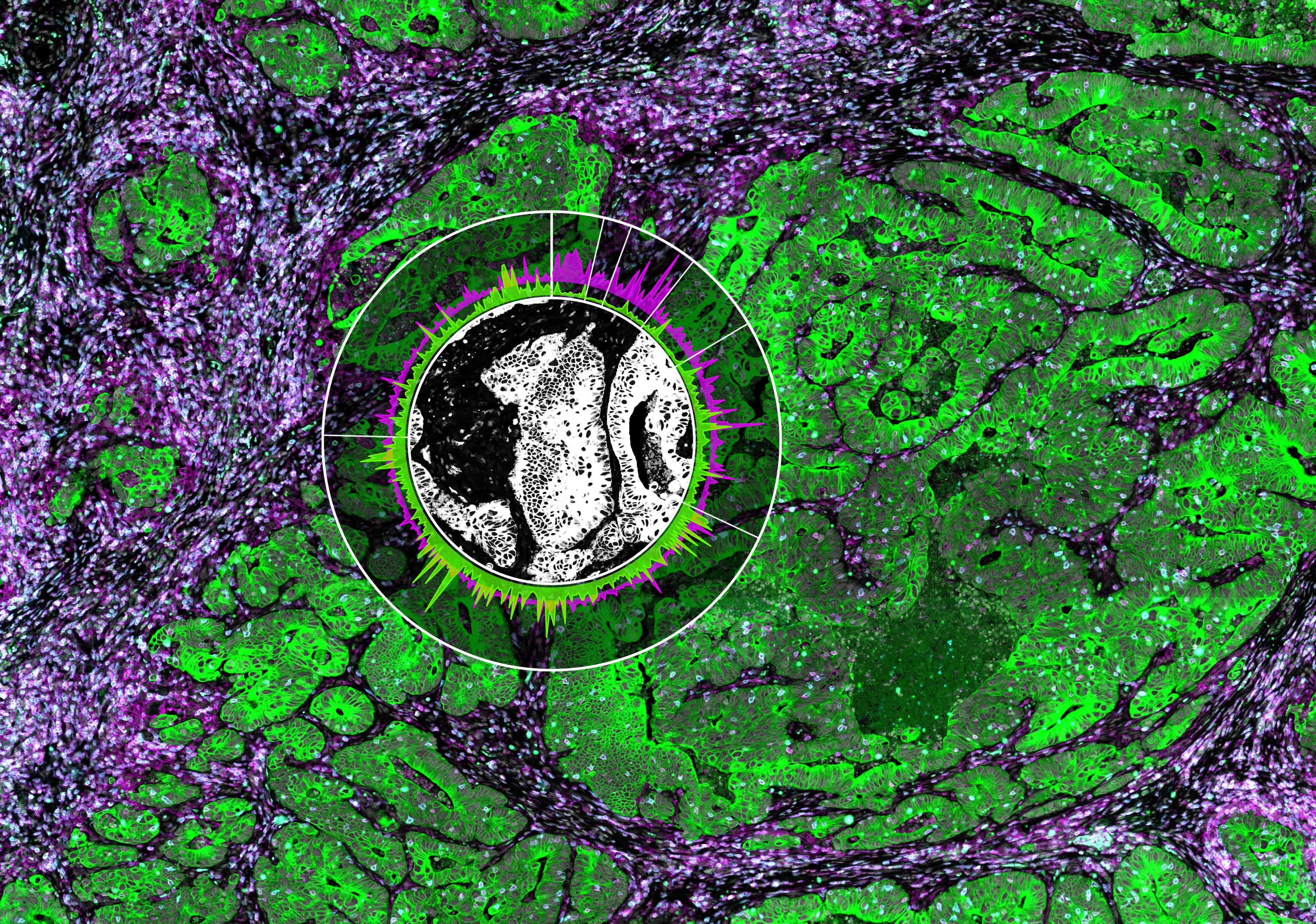 What Is Spatial Biology | NanoString