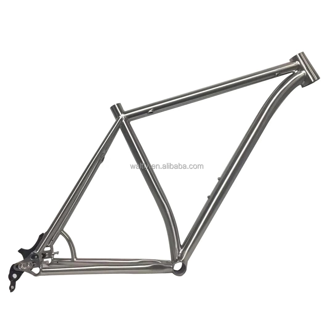 29er Titanium MTB Frame by Waltly - Custom Made for Tall Riders