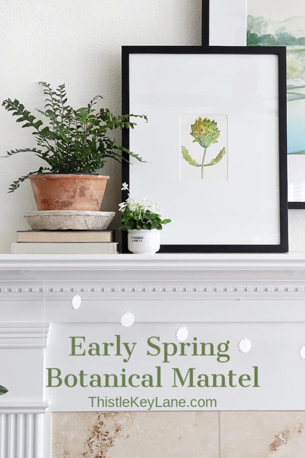 Early Spring Botanical Mantel - Thistle Key Lane