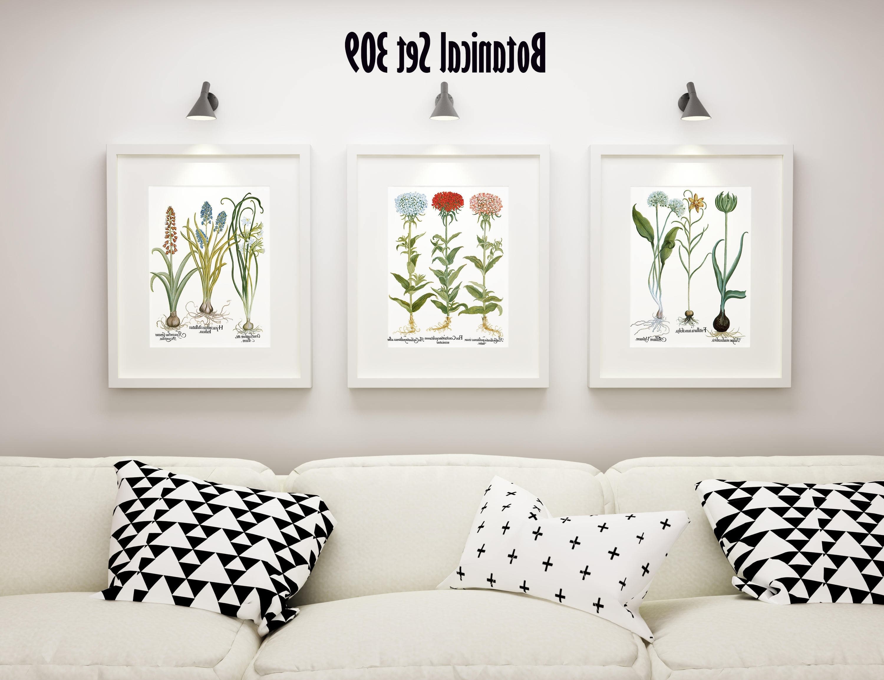 15 Best Collection of Framed Botanical Art Prints