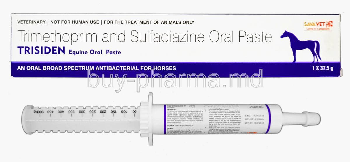 Buy Trisiden, Trimethoprim/ Sulfadiazine Equine Oral Paste Online