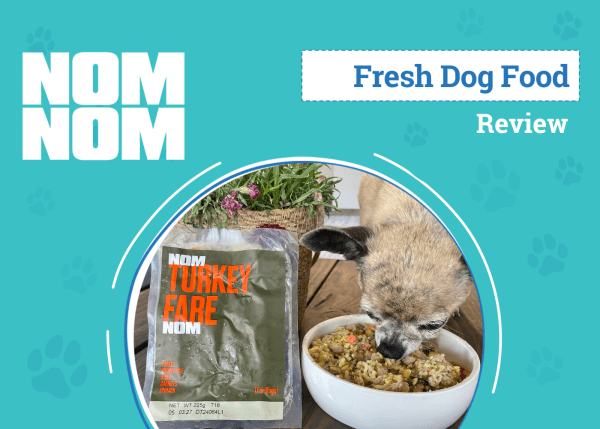 Nom Nom Dog Food Subscription Review 2025: Our Expert’s Breakdown – Dogster