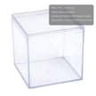 Perfectly Plain Collection Large Clear Plastic Cube Box - Famous Favors