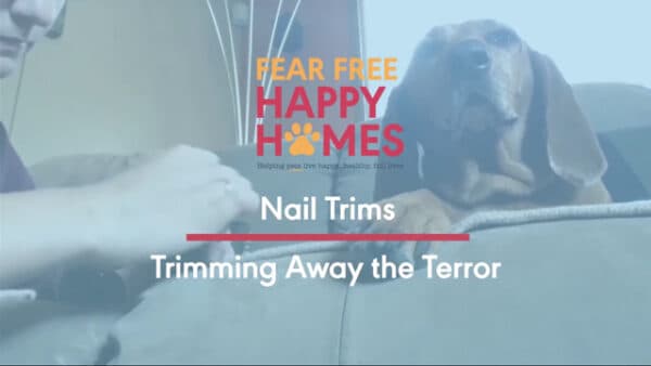 Nail Trims: Trimming Away the Terror | Fear Free Happy Homes