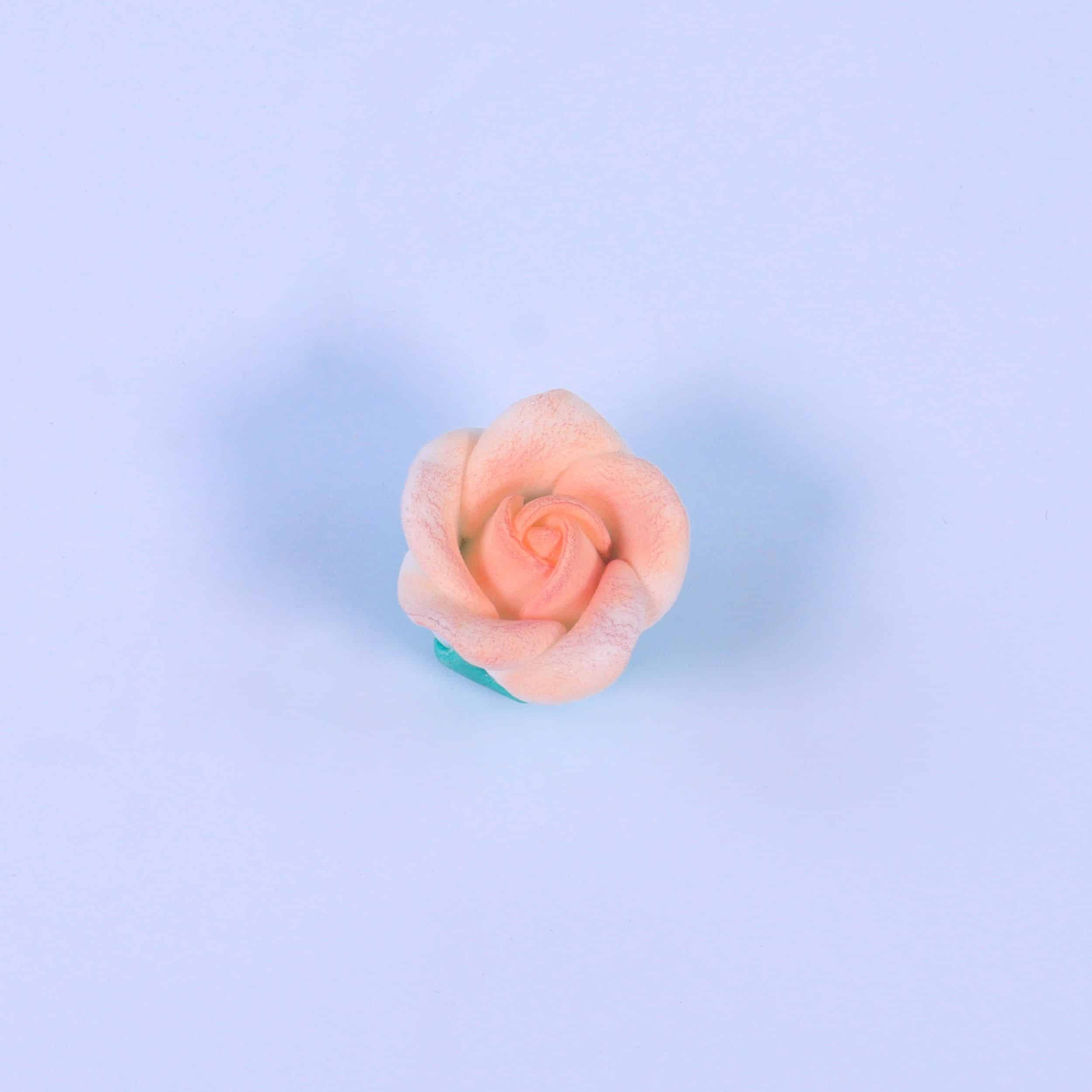 PME Sugar Roses 25mm - White koop je bij Happy Baking