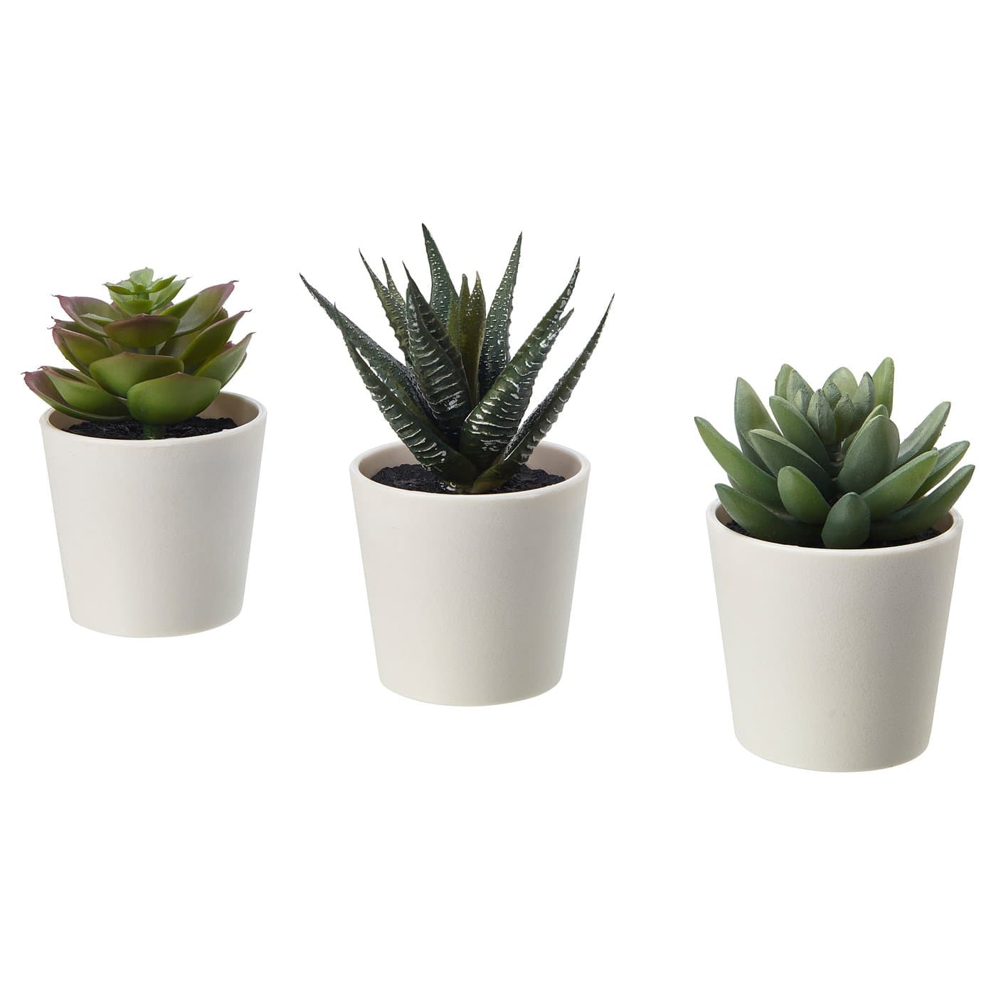 FEJKA artificial potted plant with pot, in/outdoor Succulent, 6 cm3 ...