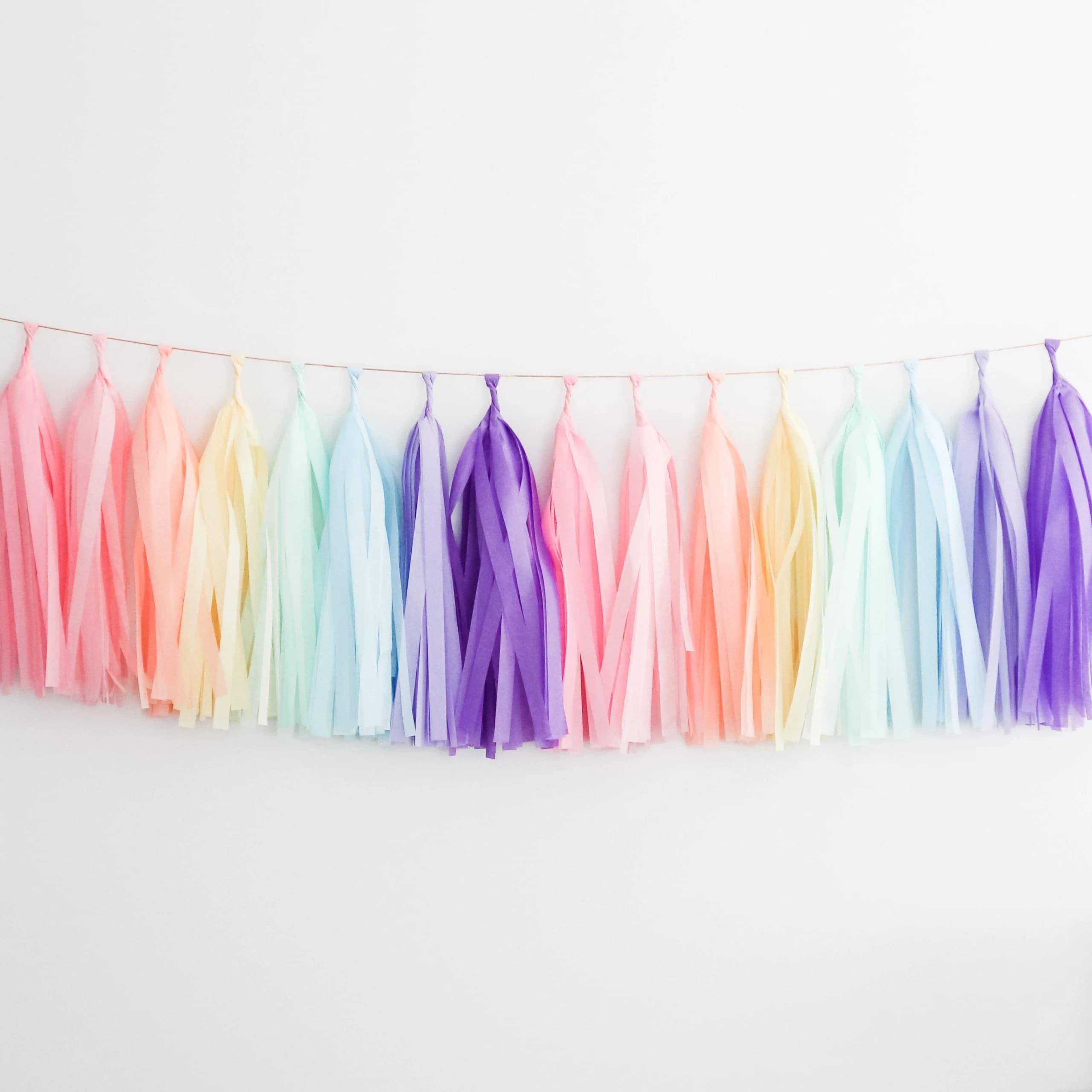 Tissue Paper DIY Tassel Garland Pastel Rainbow - Party! She Said