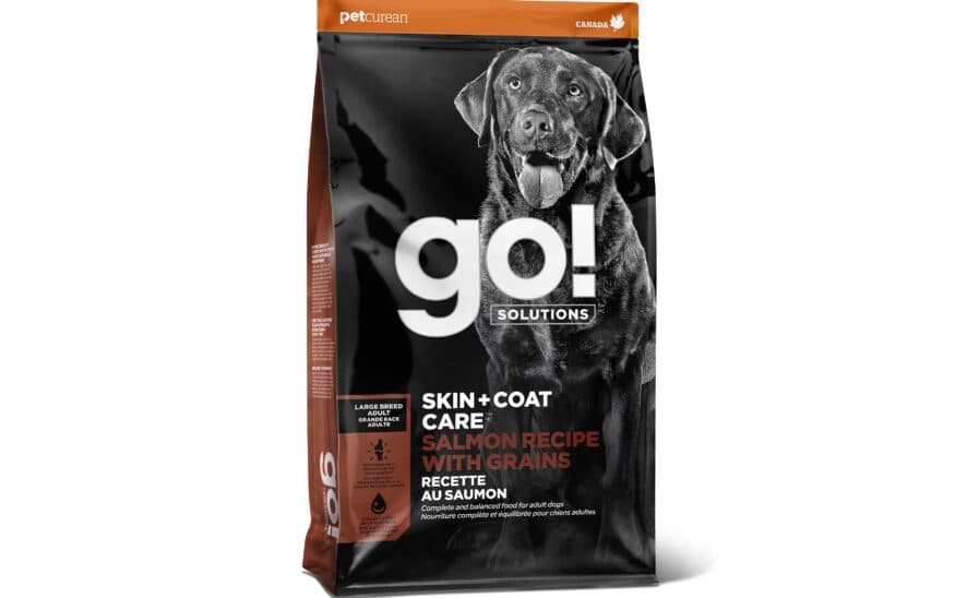 Go Solutions Skin Coat Care Large Breed Salmon Recipe With Grains Pet Age
