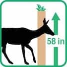 Plantra Growing Supplies|Grow Tubes|Tree Guards|Bird Netting