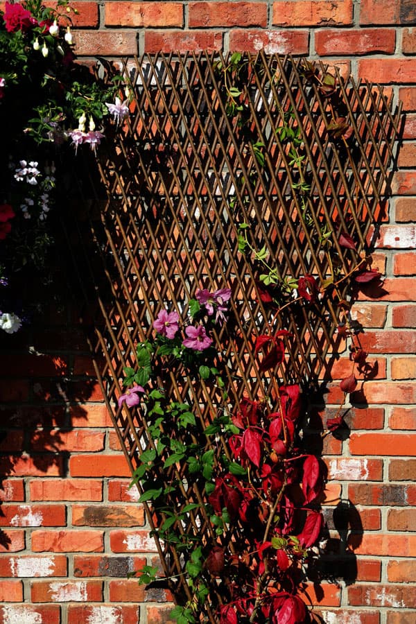 Expanding Fan Willow Trellis - 180cm x 90cm - WIL009 - UK Garden Products